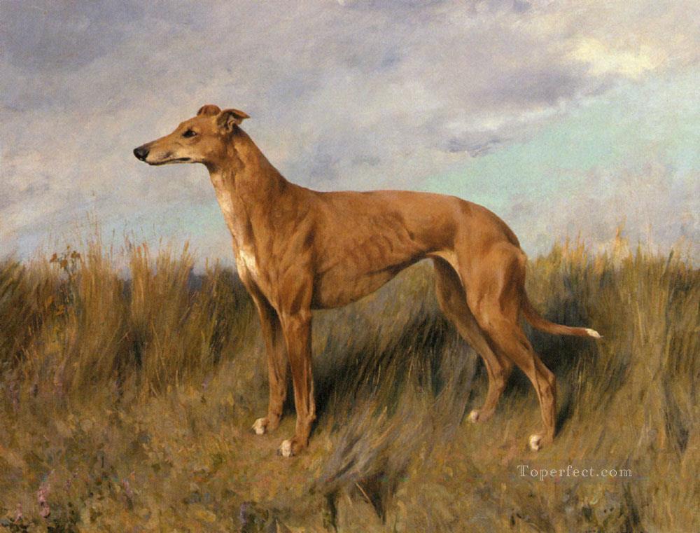 Henrietta Horn Un animal Greyhound Arthur Wardle Chien Peintures à l'huile